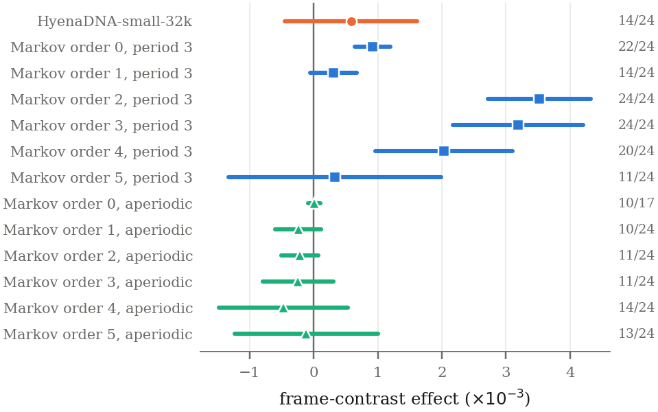 The reading-frame test across model classes, showing HyenaDNA's interval spanning zero, periodic Markov chains passing, and aperiodic controls collapsing to zero or inverting