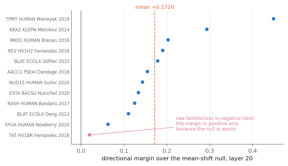 Per-protein directional margins at layer 20 for twelve held-out proteins, all positive, spanning a factor of 23