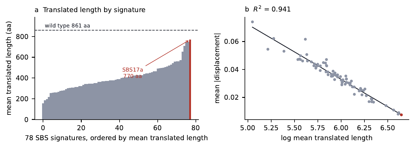 Translated length by signature, and mean absolute displacement against log translated length with R-squared 0.941