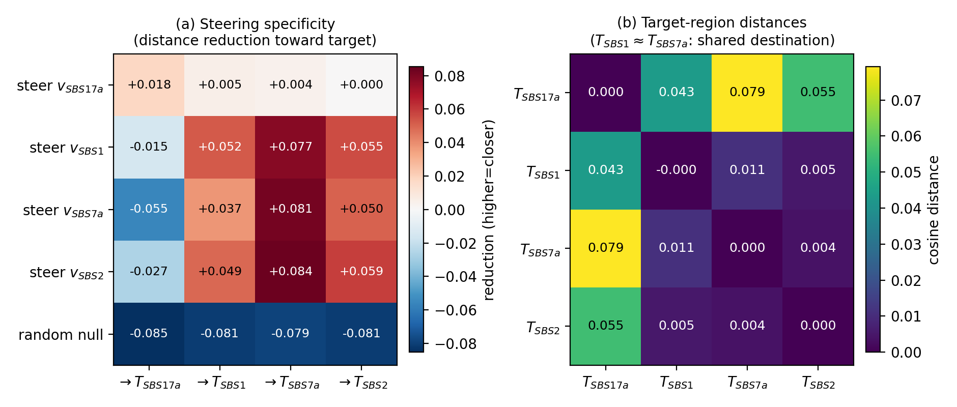 Action identifiability