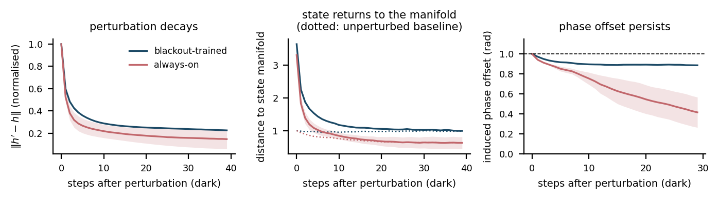 Perturbations decay, state returns to the manifold, and the phase offset persists for the blackout-trained model