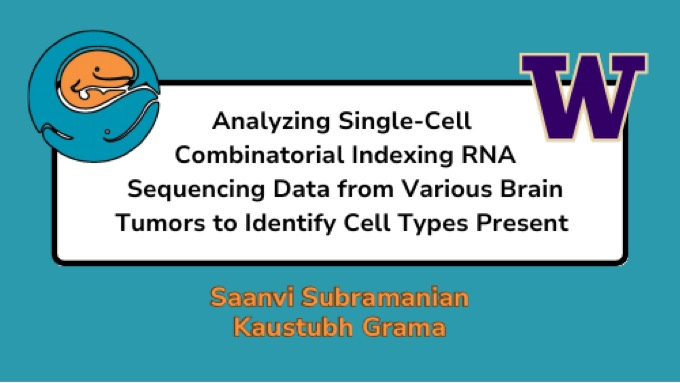 Single-cell RNA-seq of brain tumors, Seattle Children's research deck
